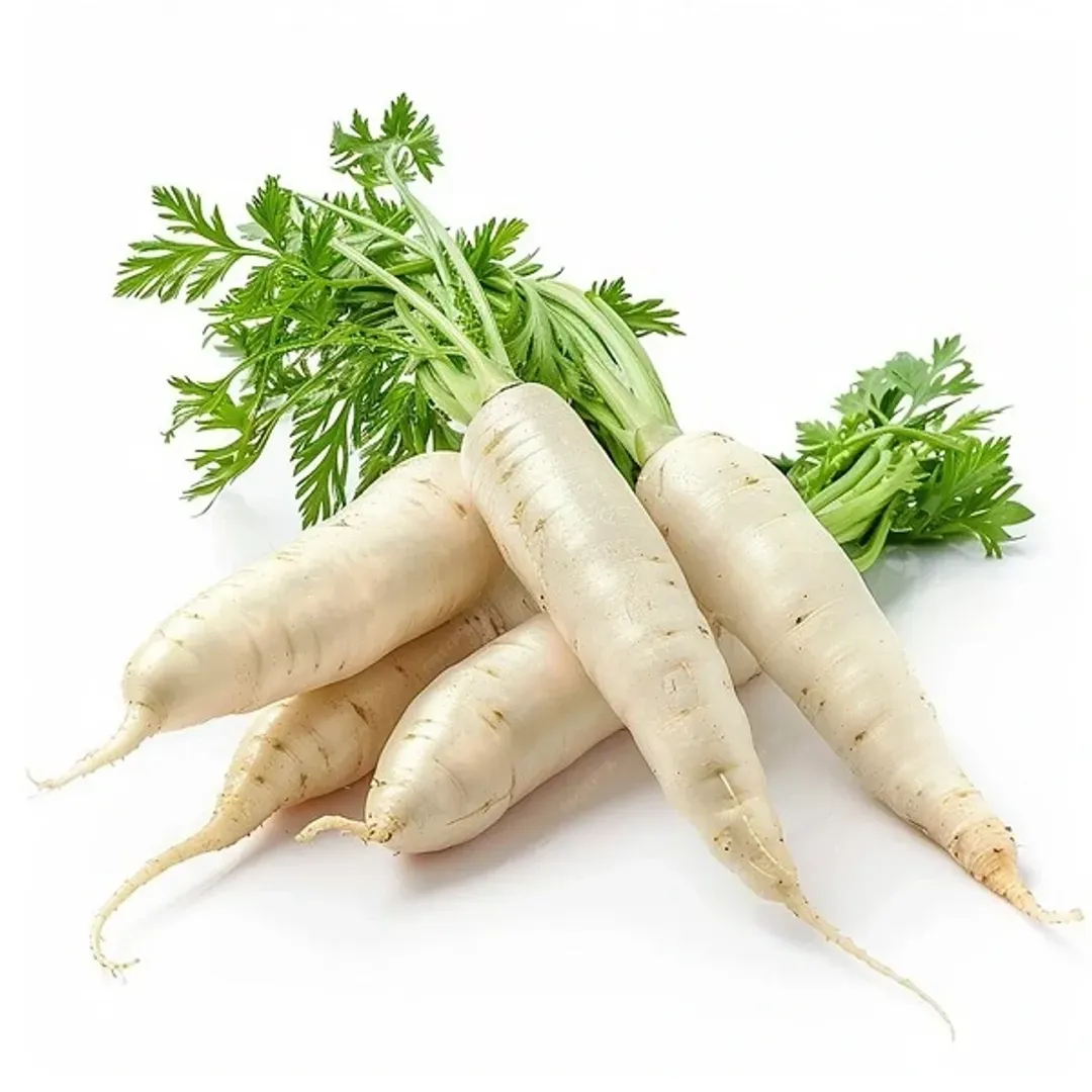 White Radish Doha Farm