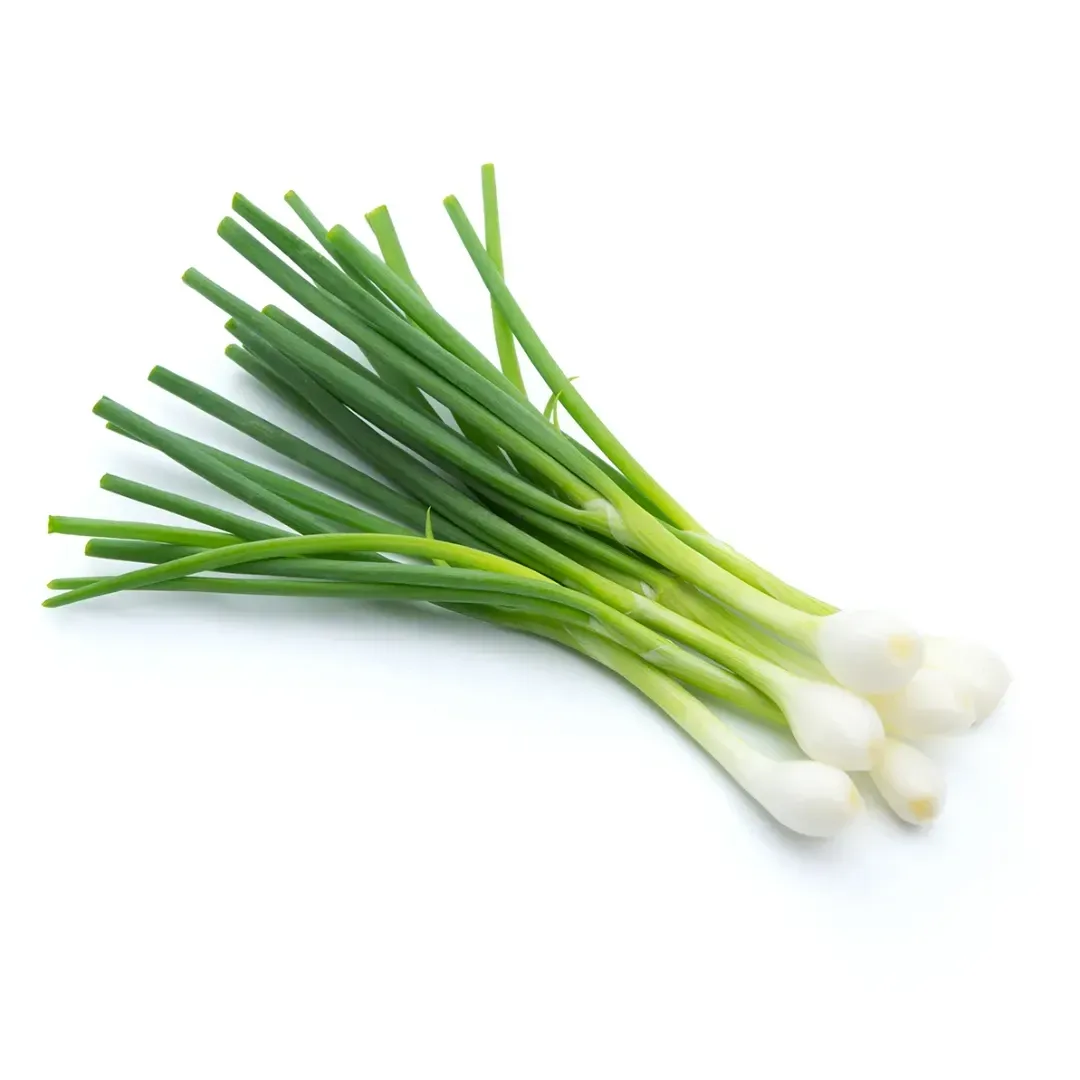 Spring Onion 1 Piece