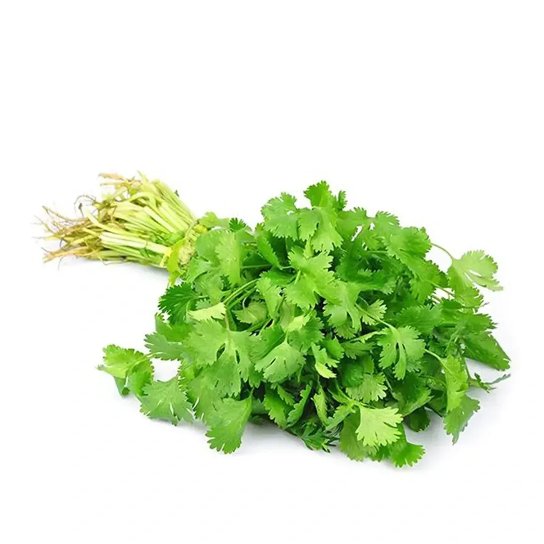 Coriander Leaves, 1 Bundle