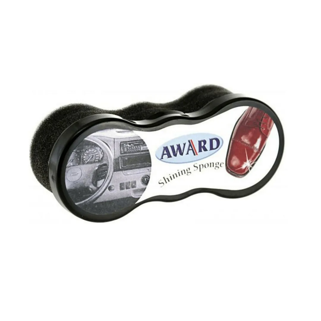 AWARD SHINING SPONGE